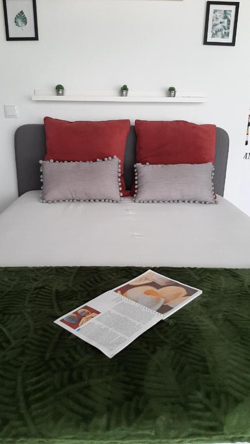Love' In Aveiro Apartments - Blanc Eksteriør bilde